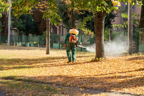 Wasp Removal Services in Mont Clare, PA